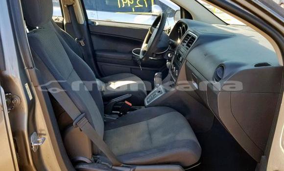 Buy Used Dodge Caliber Other Car in Tbilisi in Tbilisi Buy Used Dodge Caliber Other Car in Tbilisi in Tbilisi