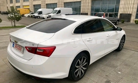 Buy Used Chevrolet Malibu White Car in Ahmeta in Kaheti Buy Used Chevrolet Malibu White Car in Ahmeta in Kaheti