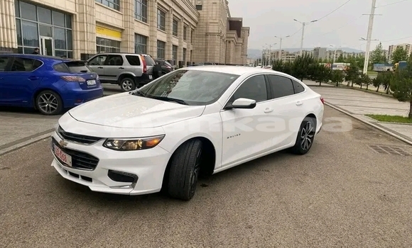 Buy Used Chevrolet Malibu White Car in Ahmeta in Kaheti Buy Used Chevrolet Malibu White Car in Ahmeta in Kaheti