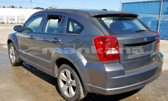 Buy Used Dodge Caliber Other Car in Tbilisi in Tbilisi Buy Used Dodge Caliber Other Car in Tbilisi in Tbilisi