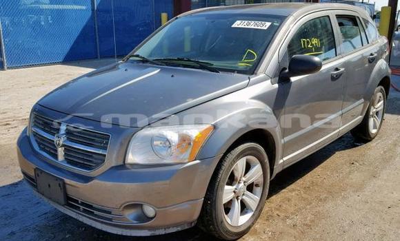 Buy Used Dodge Caliber Other Car in Tbilisi in Tbilisi Buy Used Dodge Caliber Other Car in Tbilisi in Tbilisi
