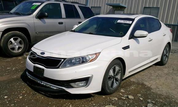 Buy Used Kia Optima White Car in Tbilisi in Tbilisi