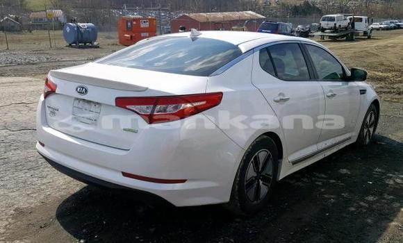 Buy Used Kia Optima White Car in Tbilisi in Tbilisi Buy Used Kia Optima White Car in Tbilisi in Tbilisi