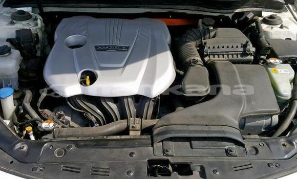 Buy Used Kia Optima White Car in Tbilisi in Tbilisi Buy Used Kia Optima White Car in Tbilisi in Tbilisi