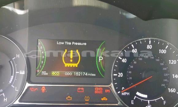 Buy Used Kia Optima White Car in Tbilisi in Tbilisi Buy Used Kia Optima White Car in Tbilisi in Tbilisi