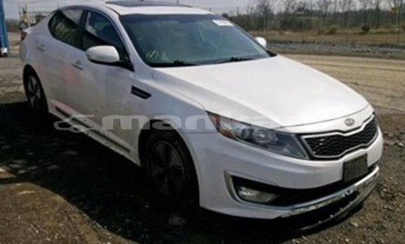Buy Used Kia Optima White Car in Tbilisi in Tbilisi Buy Used Kia Optima White Car in Tbilisi in Tbilisi