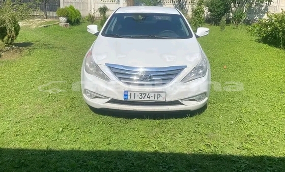 Buy Used BMW 5–Series Other Car in Bagdadi in Imereti Buy Used BMW 5–Series Other Car in Bagdadi in Imereti