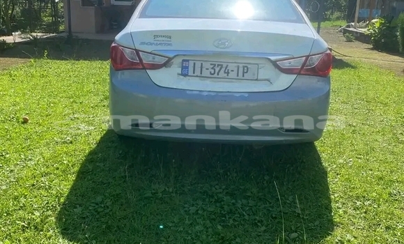 Buy Used BMW 5–Series Other Car in Bagdadi in Imereti Buy Used BMW 5–Series Other Car in Bagdadi in Imereti