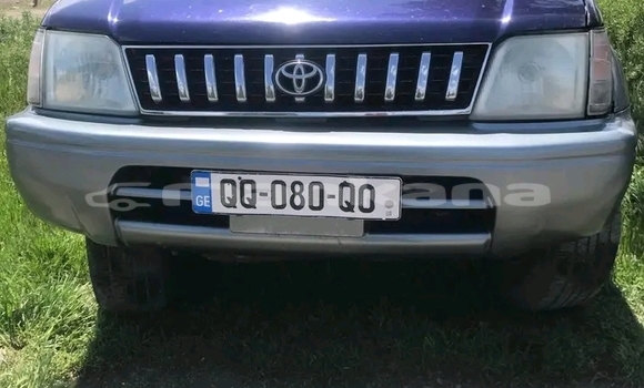 Buy Used Toyota Land Cruiser Prado Other Car in Chaltubo in Imereti Buy Used Toyota Land Cruiser Prado Other Car in Chaltubo in Imereti