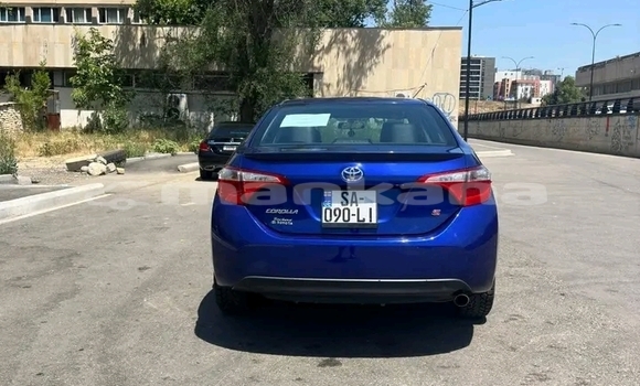 Buy Used Toyota Corolla Blue Car in Batumi in Ajaria Buy Used Toyota Corolla Blue Car in Batumi in Ajaria