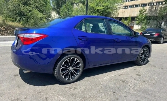 Buy Used Toyota Corolla Blue Car in Batumi in Ajaria Buy Used Toyota Corolla Blue Car in Batumi in Ajaria