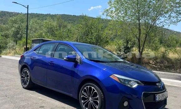 Buy Used Toyota Corolla Blue Car in Batumi in Ajaria Buy Used Toyota Corolla Blue Car in Batumi in Ajaria
