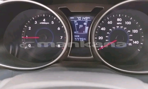 Buy Used Kia Sportage Other Car in Batumi in Ajaria Buy Used Kia Sportage Other Car in Batumi in Ajaria