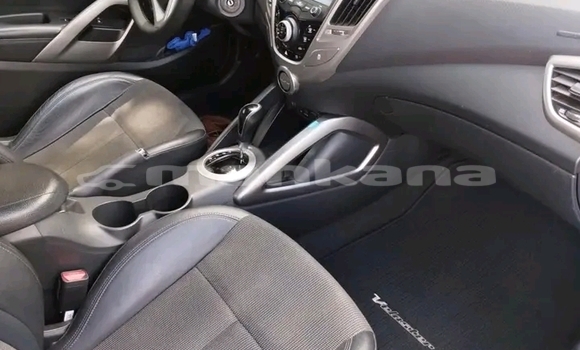 Buy Used Kia Sportage Other Car in Batumi in Ajaria Buy Used Kia Sportage Other Car in Batumi in Ajaria