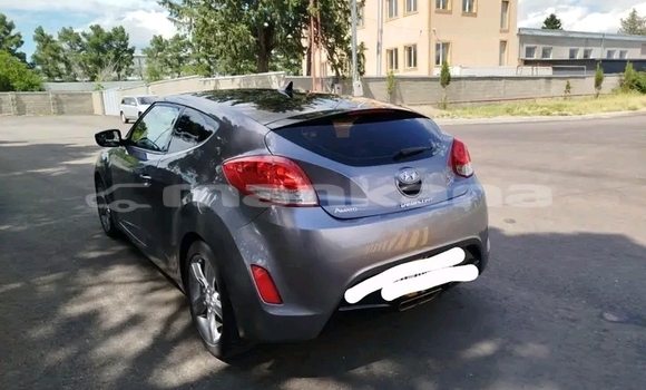 Buy Used Kia Sportage Other Car in Batumi in Ajaria Buy Used Kia Sportage Other Car in Batumi in Ajaria