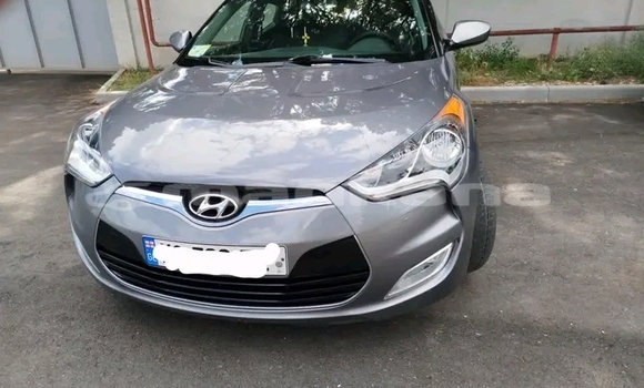 Buy Used Kia Sportage Other Car in Batumi in Ajaria Buy Used Kia Sportage Other Car in Batumi in Ajaria