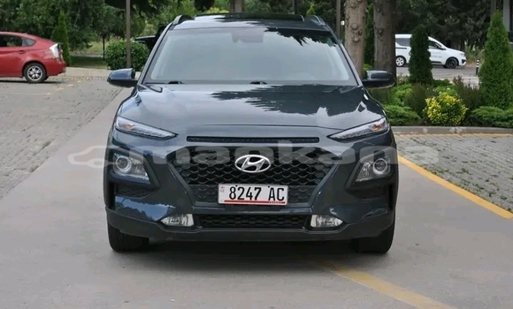 Buy Used Kia Sportage Black Car in Bihvinta in Abhasia Buy Used Kia Sportage Black Car in Bihvinta in Abhasia