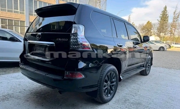 Buy Used Lexus GX Black Car in Bagdadi in Imereti Buy Used Lexus GX Black Car in Bagdadi in Imereti
