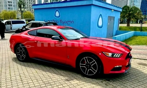 Buy Used BMW Z4 Red Car in Batumi in Ajaria Buy Used BMW Z4 Red Car in Batumi in Ajaria