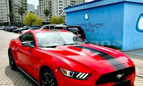 Buy Used BMW Z4 Red Car in Batumi in Ajaria Buy Used BMW Z4 Red Car in Batumi in Ajaria