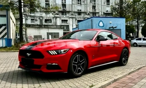 Buy Used BMW Z4 Red Car in Batumi in Ajaria Buy Used BMW Z4 Red Car in Batumi in Ajaria