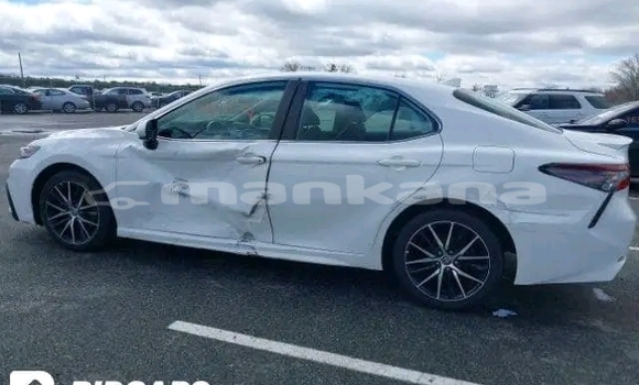 Buy Used Toyota Camry White Car in Bihvinta in Abhasia Buy Used Toyota Camry White Car in Bihvinta in Abhasia