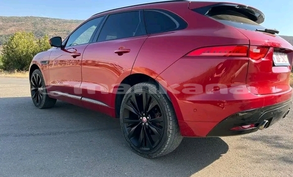 Buy Used Jaguar XE Red Car in Bihvinta in Abhasia Buy Used Jaguar XE Red Car in Bihvinta in Abhasia