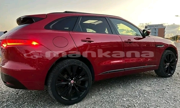 Buy Used Jaguar XE Red Car in Bihvinta in Abhasia Buy Used Jaguar XE Red Car in Bihvinta in Abhasia