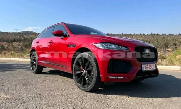 Buy Used Jaguar XE Red Car in Bihvinta in Abhasia Buy Used Jaguar XE Red Car in Bihvinta in Abhasia