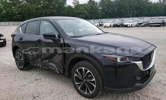 Buy Used Mazda CX-5 Black Car in Bihvinta in Abhasia Buy Used Mazda CX-5 Black Car in Bihvinta in Abhasia