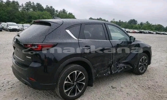 Buy Used Mazda CX-5 Black Car in Bihvinta in Abhasia Buy Used Mazda CX-5 Black Car in Bihvinta in Abhasia