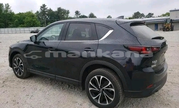 Buy Used Mazda CX-5 Black Car in Bihvinta in Abhasia Buy Used Mazda CX-5 Black Car in Bihvinta in Abhasia