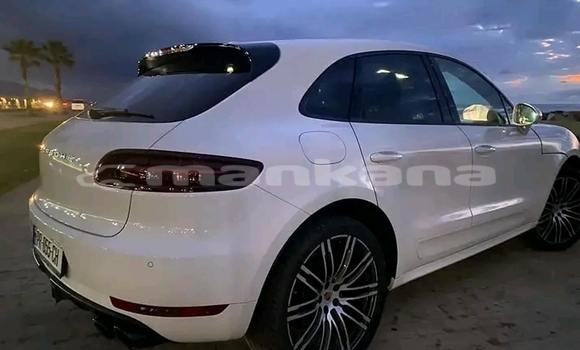 Buy Used BMW 2000 C/CS Other Car in Bihvinta in Abhasia Buy Used BMW 2000 C/CS Other Car in Bihvinta in Abhasia