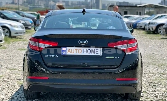 Buy Used Kia Optima Other Car in Bihvinta in Abhasia Buy Used Kia Optima Other Car in Bihvinta in Abhasia