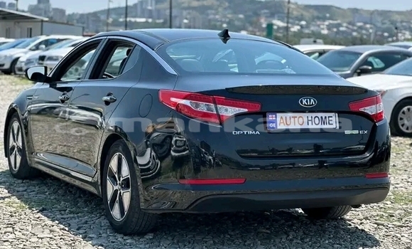 Buy Used Kia Optima Other Car in Bihvinta in Abhasia Buy Used Kia Optima Other Car in Bihvinta in Abhasia
