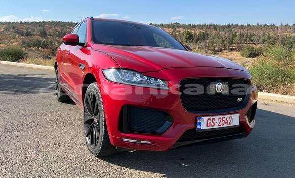 Buy Used Jaguar F-Pace Red Car in Tbilisi in Tbilisi