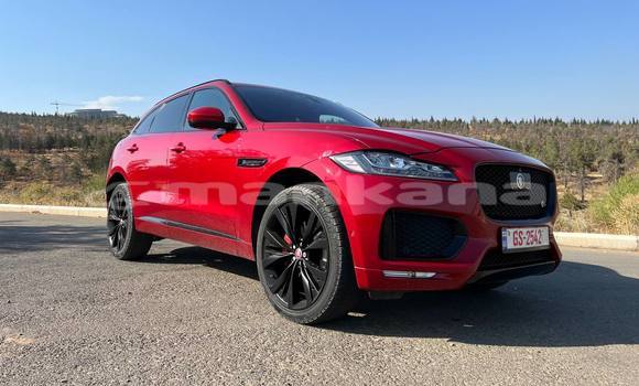 Buy Used Jaguar F-Pace Red Car in Tbilisi in Tbilisi Buy Used Jaguar F-Pace Red Car in Tbilisi in Tbilisi