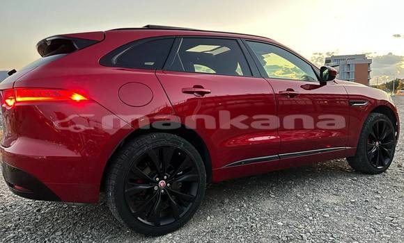 Buy Used Jaguar F-Pace Red Car in Tbilisi in Tbilisi Buy Used Jaguar F-Pace Red Car in Tbilisi in Tbilisi