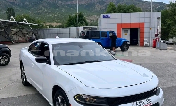 Buy Used Isuzu Bighorn White Car in Bihvinta in Abhasia Buy Used Isuzu Bighorn White Car in Bihvinta in Abhasia