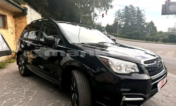 Buy Used Subaru Forester Black Car in Bihvinta in Abhasia Buy Used Subaru Forester Black Car in Bihvinta in Abhasia