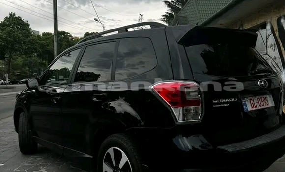 Buy Used Subaru Forester Black Car in Bihvinta in Abhasia Buy Used Subaru Forester Black Car in Bihvinta in Abhasia