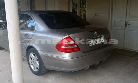 Buy Used CHTC PICK UP Other Car in Bihvinta in Abhasia Buy Used CHTC PICK UP Other Car in Bihvinta in Abhasia