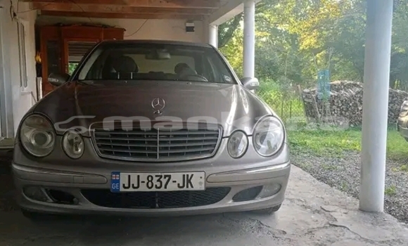 Buy Used CHTC PICK UP Other Car in Bihvinta in Abhasia Buy Used CHTC PICK UP Other Car in Bihvinta in Abhasia