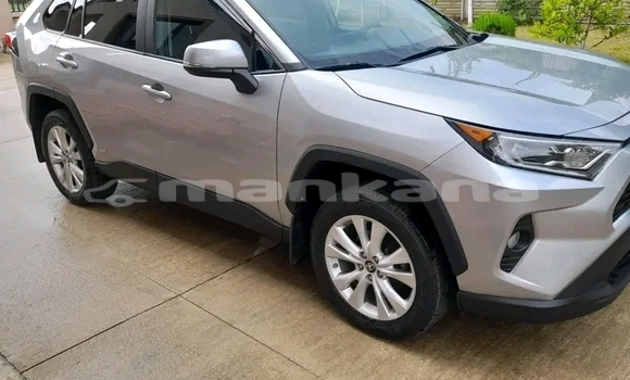Buy Used Toyota RAV4 Other Car in Bihvinta in Abhasia