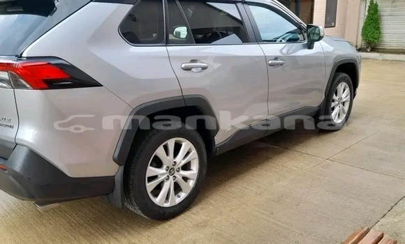 Buy Used Toyota RAV4 Other Car in Bihvinta in Abhasia Buy Used Toyota RAV4 Other Car in Bihvinta in Abhasia