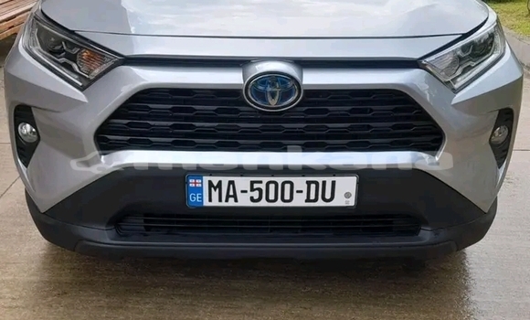 Buy Used Toyota RAV4 Other Car in Bihvinta in Abhasia Buy Used Toyota RAV4 Other Car in Bihvinta in Abhasia