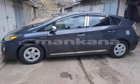 Buy Used Hyundai Pony Other Car in Batumi in Ajaria Buy Used Hyundai Pony Other Car in Batumi in Ajaria