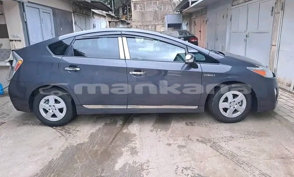 Buy Used Hyundai Pony Other Car in Batumi in Ajaria Buy Used Hyundai Pony Other Car in Batumi in Ajaria