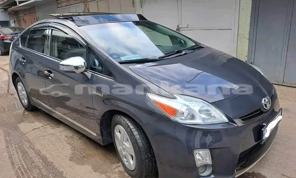 Buy Used Hyundai Pony Other Car in Batumi in Ajaria Buy Used Hyundai Pony Other Car in Batumi in Ajaria