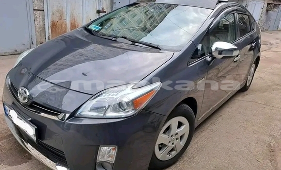 Buy Used Hyundai Pony Other Car in Batumi in Ajaria Buy Used Hyundai Pony Other Car in Batumi in Ajaria